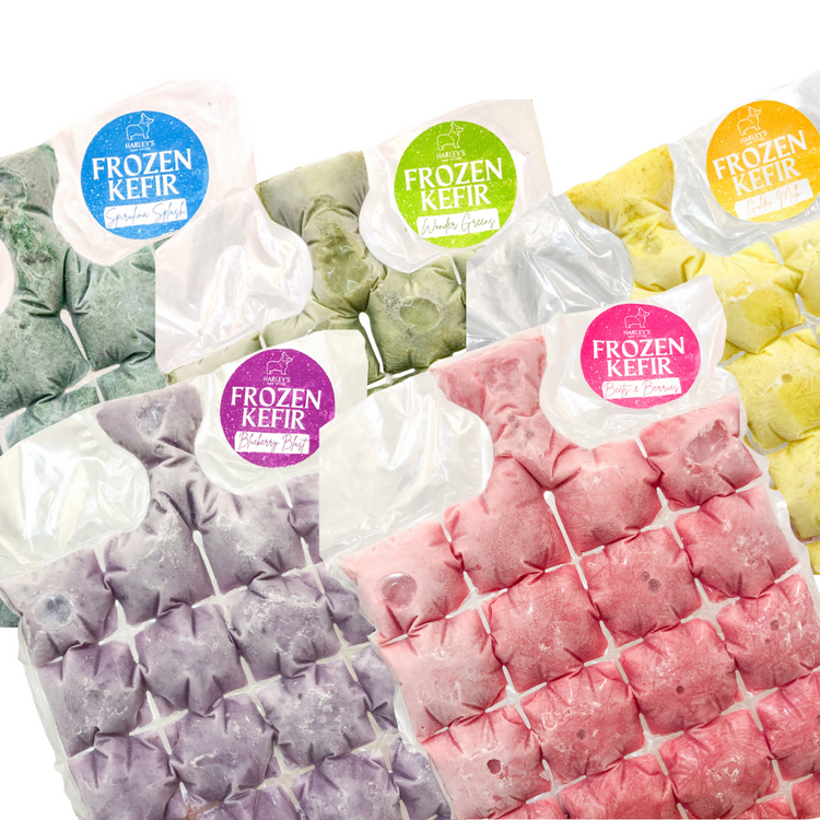 Frozen Kefir Cubes