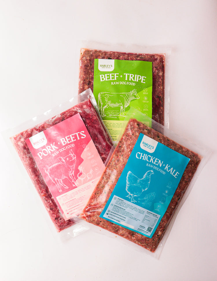 Complete Dog + Cat Food Recipes