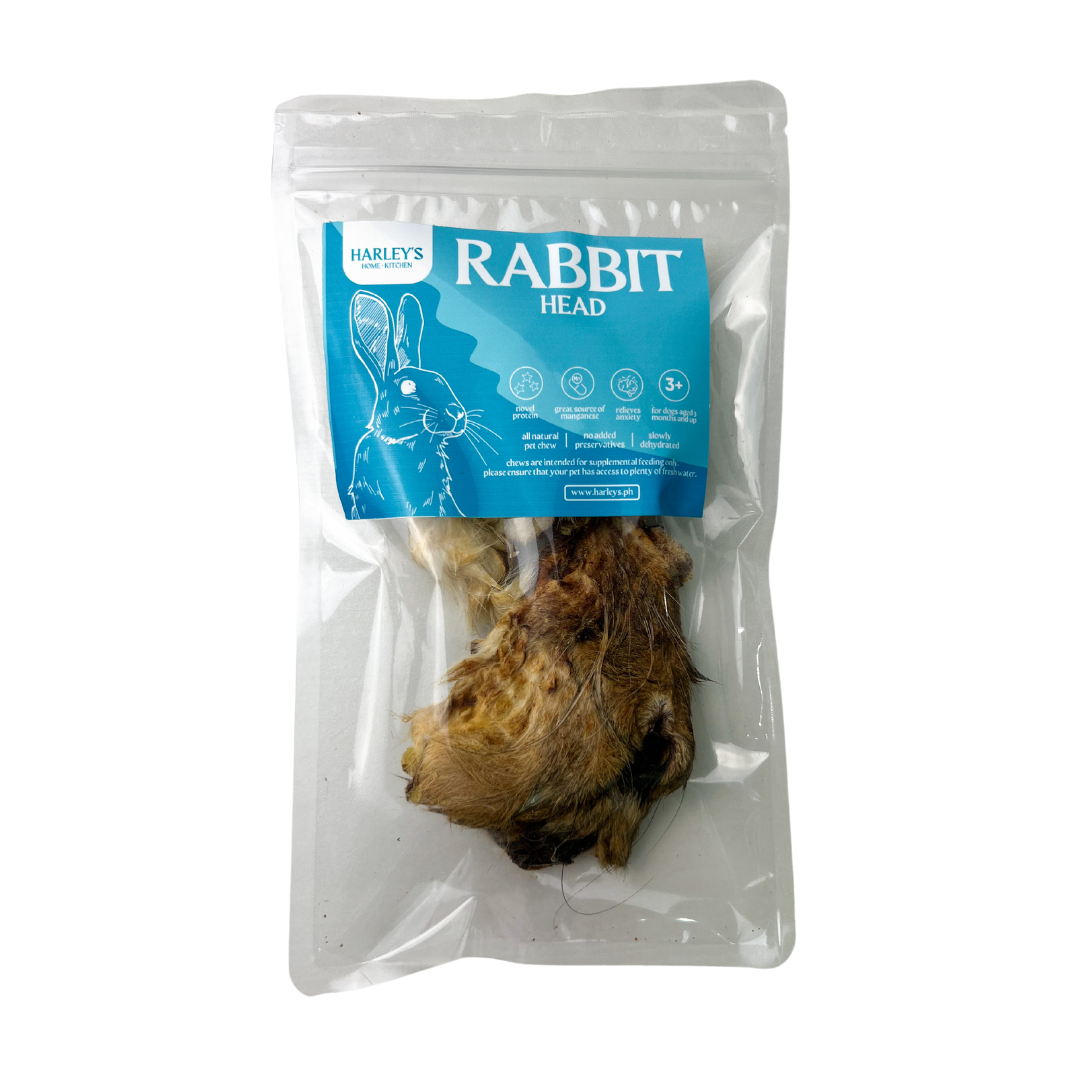 Rabbit Head