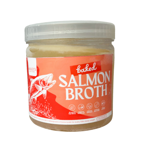 Frozen Salmon Bone Broth