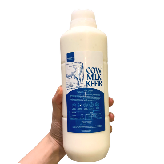 Cow Milk Kefir