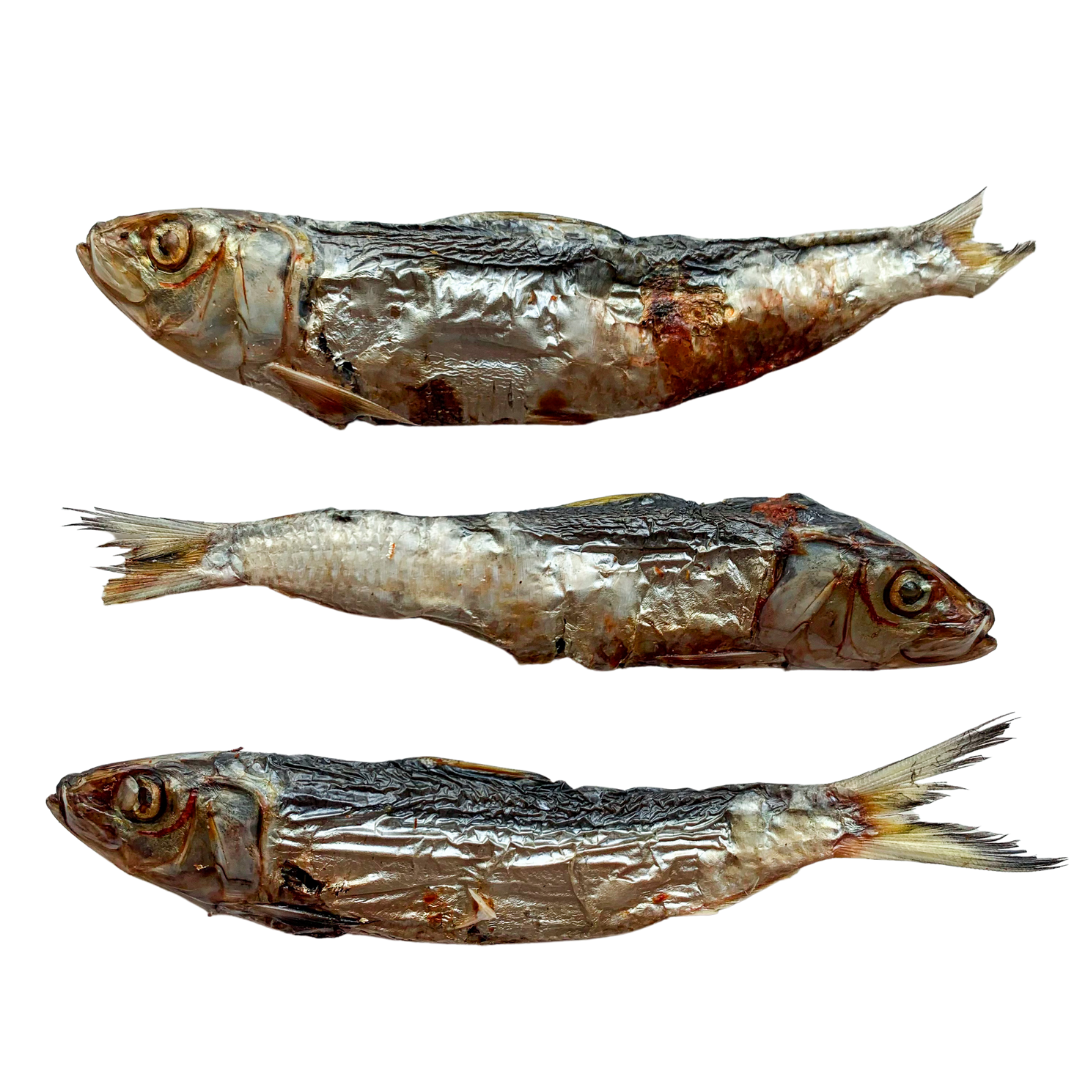 Dehydrated Sardines