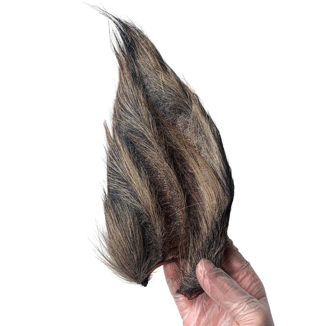 Furry Buffalo Ears
