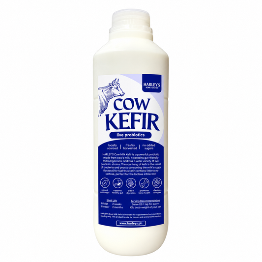 Cow Milk Kefir