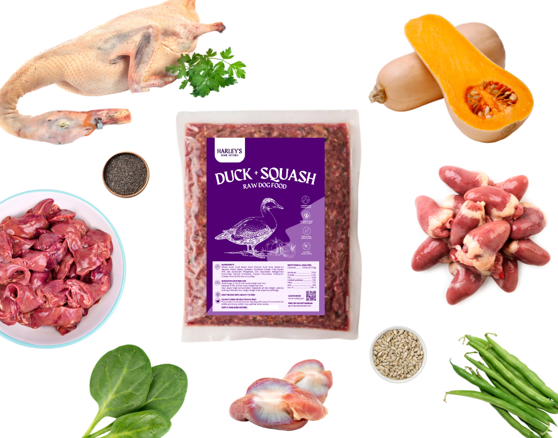Harley’s Duck + Squash Raw Meal for Dogs