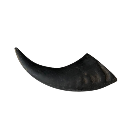 Buffalo Horn