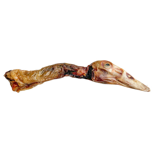 Duck Head + Neck