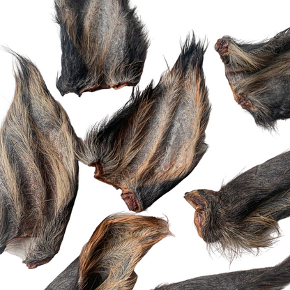 Furry Buffalo Ears