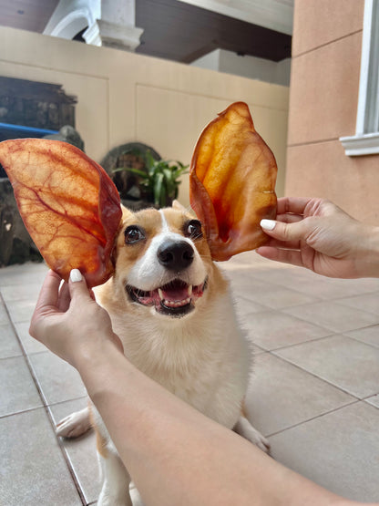 Pork Ear