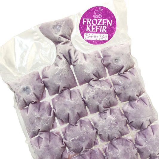 Frozen Blueberry Blast Kefir Cubes