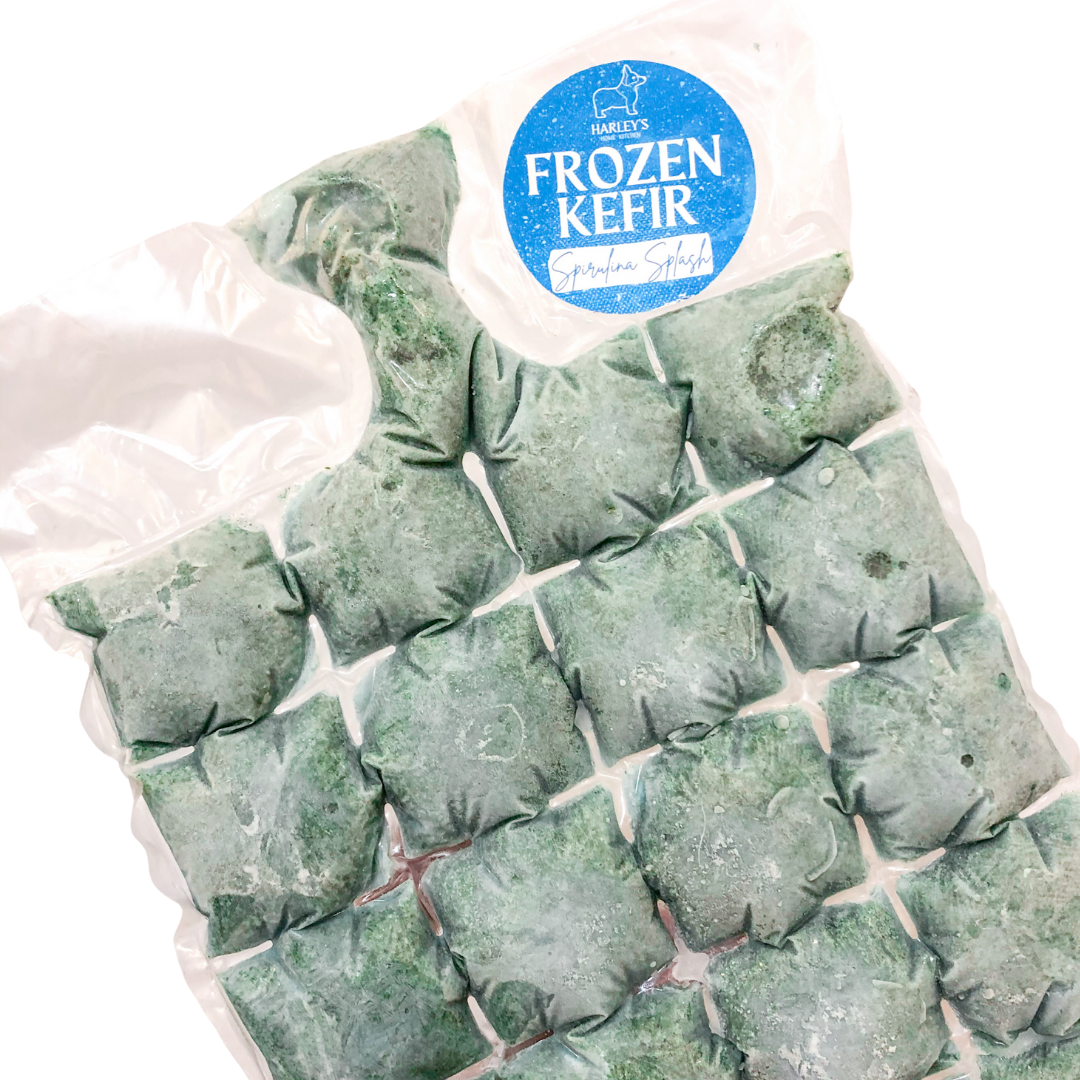 Frozen Spirulina Splash Kefir Cubes