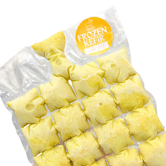 Frozen Golden Milk Kefir Cubes